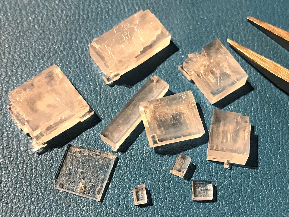 flower, marsh thistle, bud