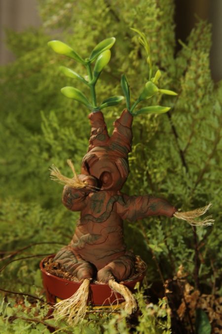 MANDRAGORA