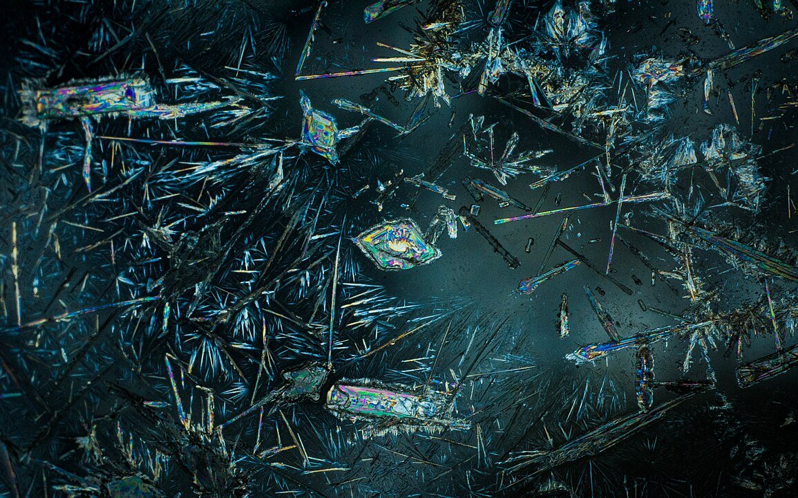 flower, marsh thistle, bud