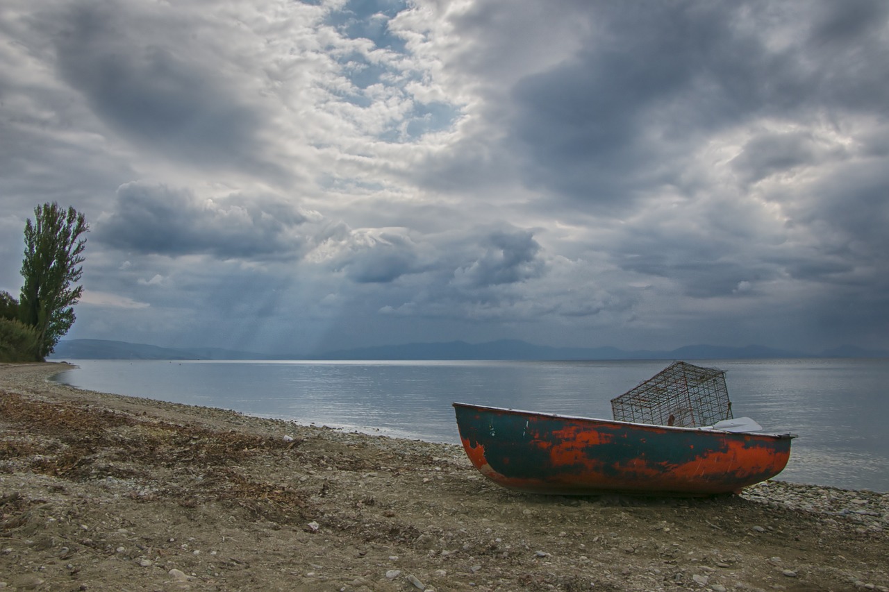 Photo by b52_Tresa flower, marsh thistle, bud