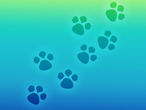 Animaux : homéopathie vétérinaire