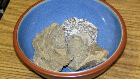 Ambra grisea