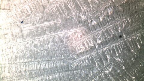 AMMONIUM MURIATICUM
